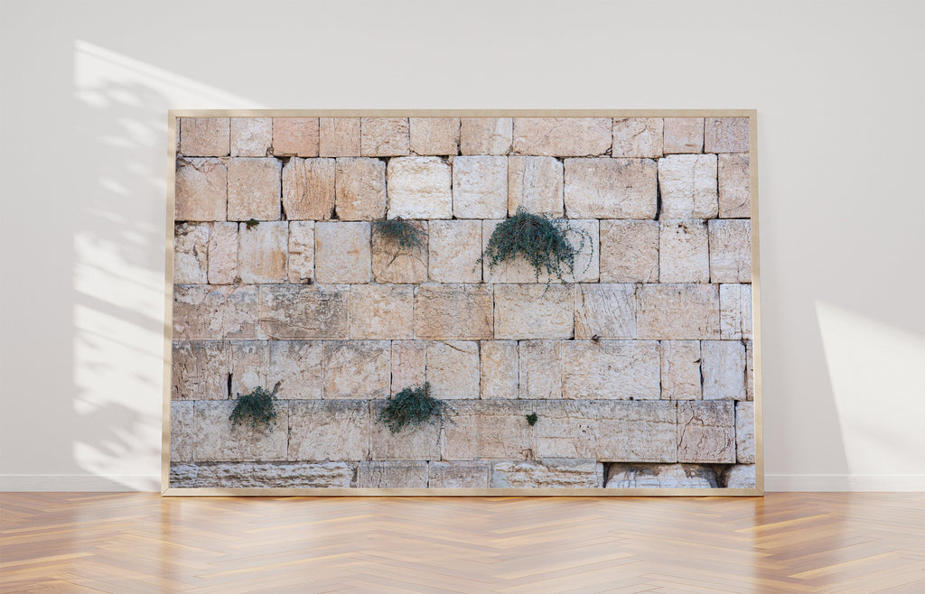 Jerusalem Kotel Western Wall with Bush