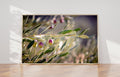 Holy Land Israeli Olive Branch Tree at surise — Promise Land Jewish Old Bible Seven Species