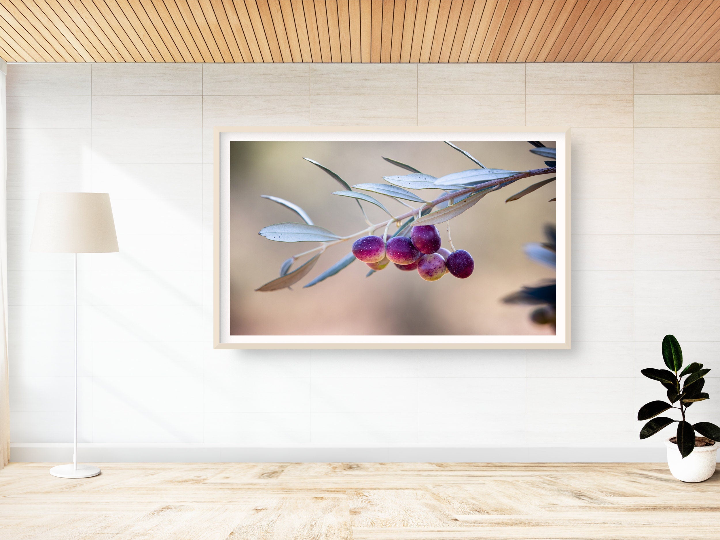 Israeli Olives — Promise Holy Land Bible Seven species