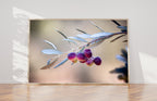 Israeli Olives — Promise Holy Land Bible Seven species