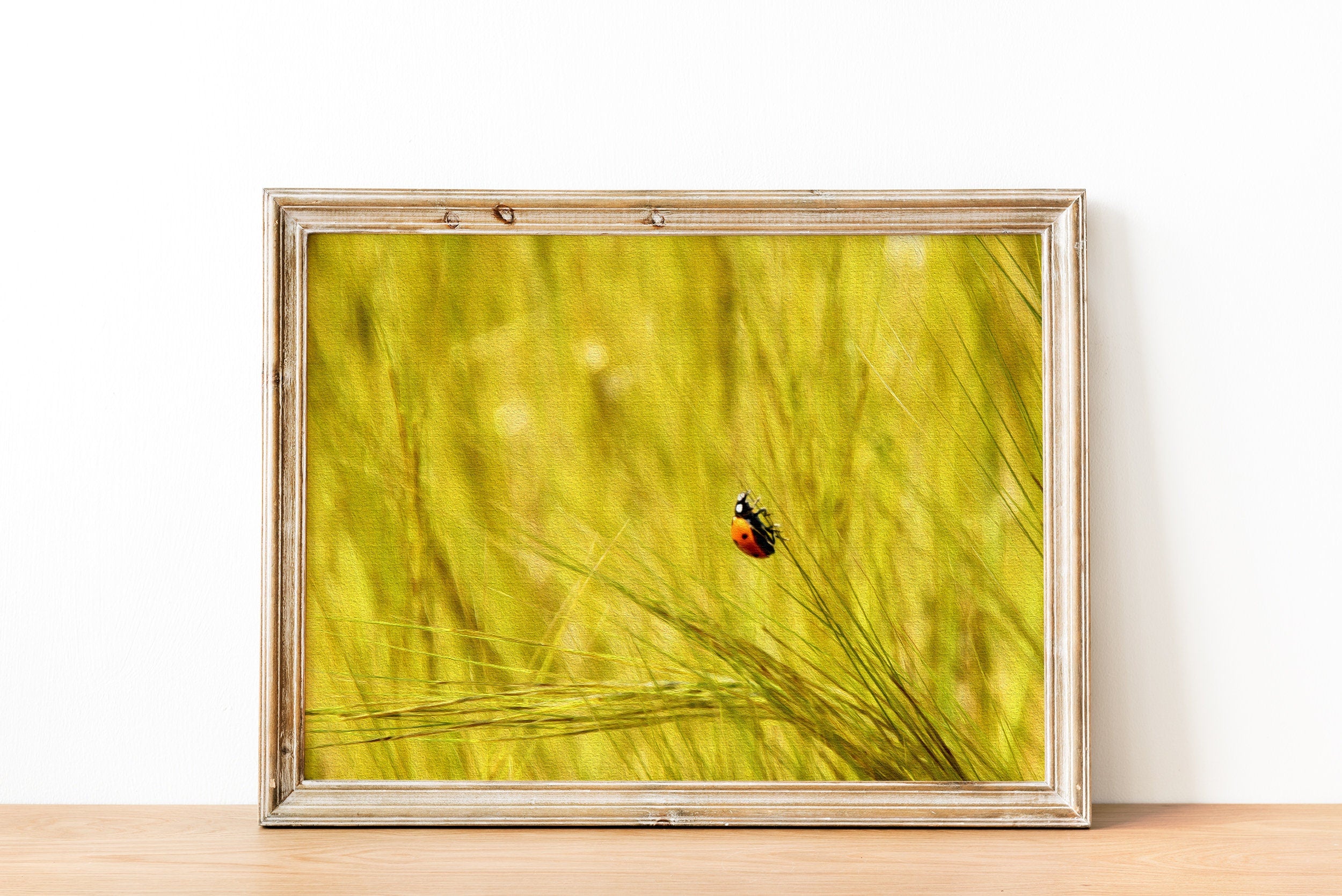 Ladybug in a Yellow Wild Field Israeli Painting