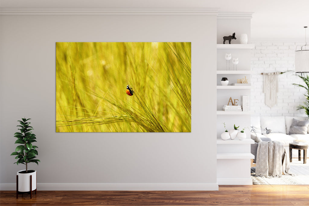 Ladybug in a Yellow Wild Field Israeli Painting