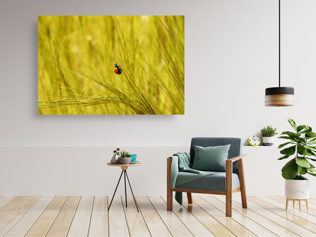 Ladybug in a Yellow Wild Field Israeli Painting