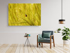Ladybug in a Yellow Wild Field Israeli Painting