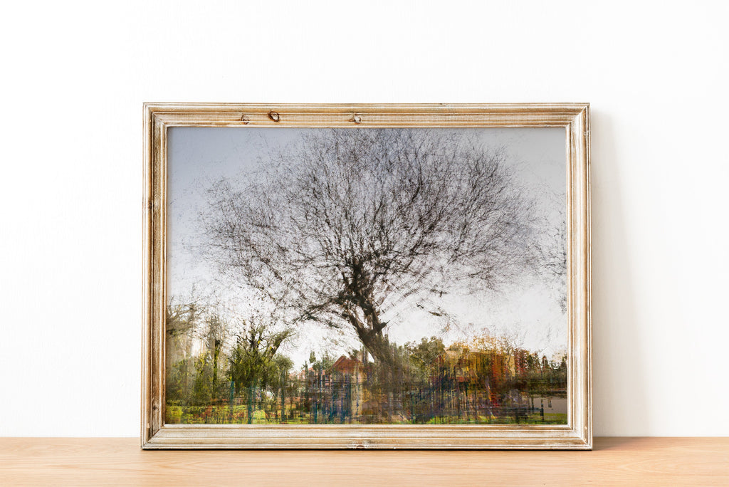 Tree Impressionist Painting — Bare oak tree during the winter