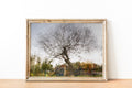 Tree Impressionist Painting — Bare oak tree during the winter