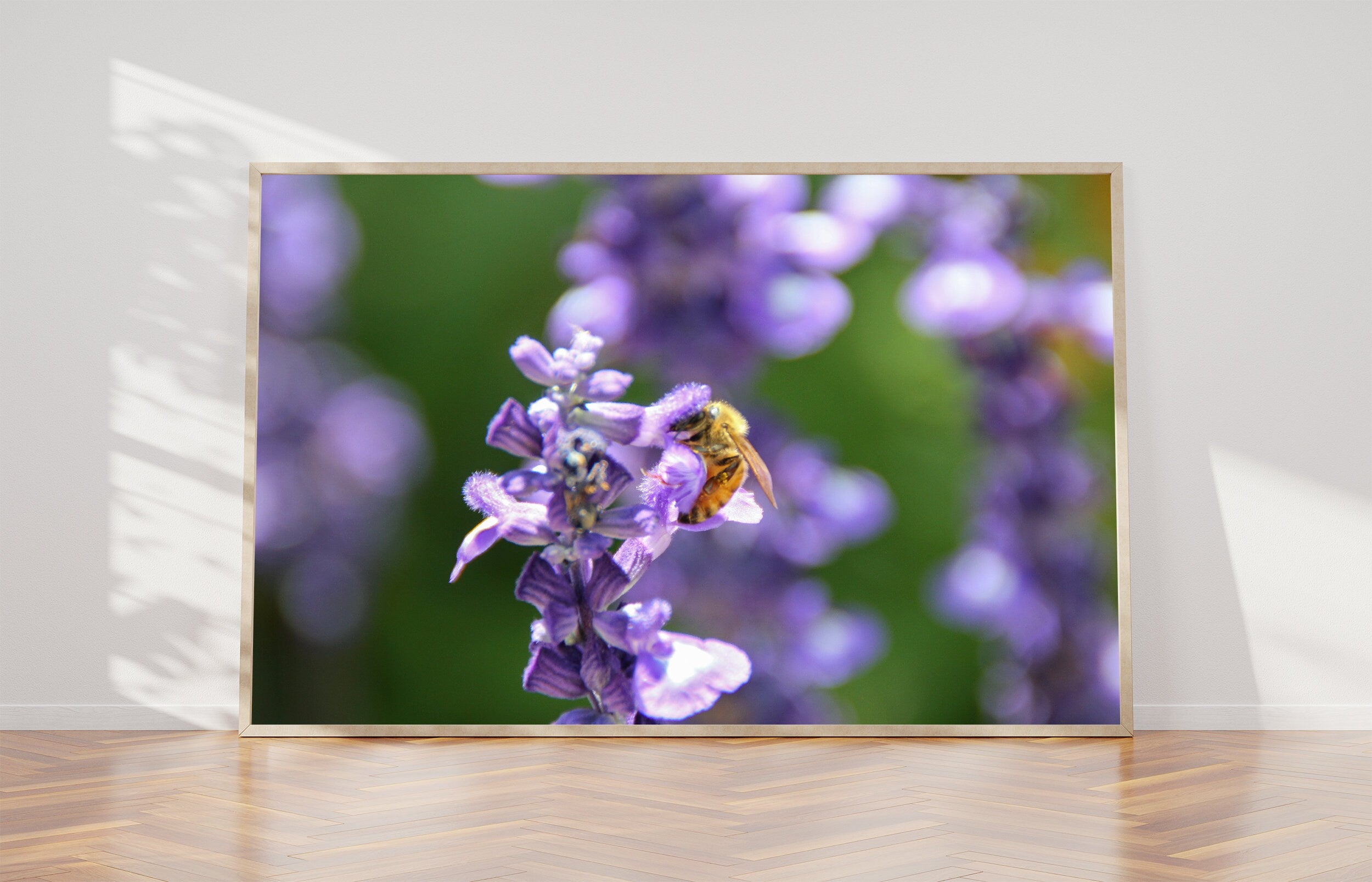 Israeli Bee Collecting Pollen Purple Flowers - Holy Land Nature Photography