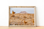 Israeli Mount Herodes Gold Landscape Photography with Sunset Field Scenery - Herodion Gush Etzion Park