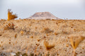 Israeli Mount Herodes Gold Landscape Photography with Sunset Field Scenery - Herodion Gush Etzion Park