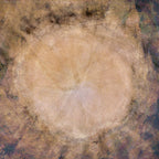 Brown Beige Abstract Tree Trunk Wood Painting