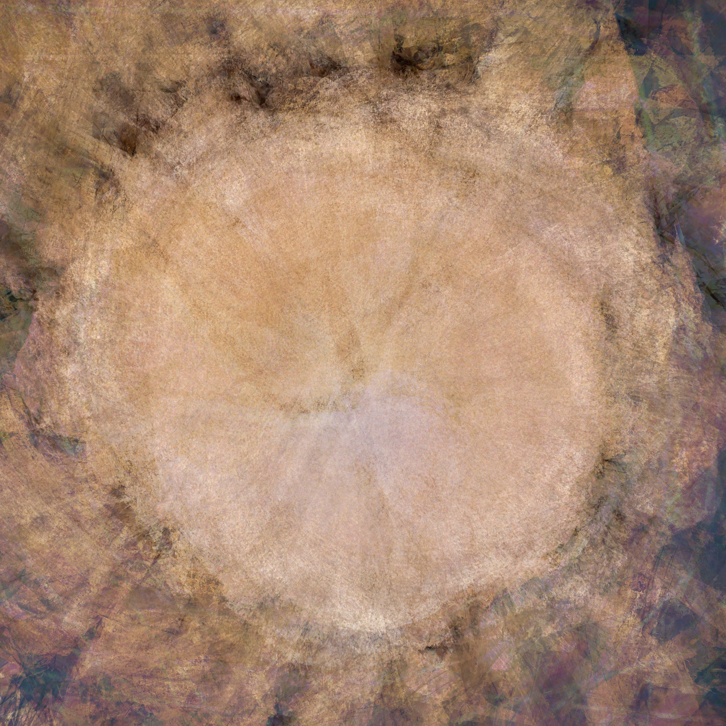 Brown Beige Abstract Tree Trunk Wood Painting