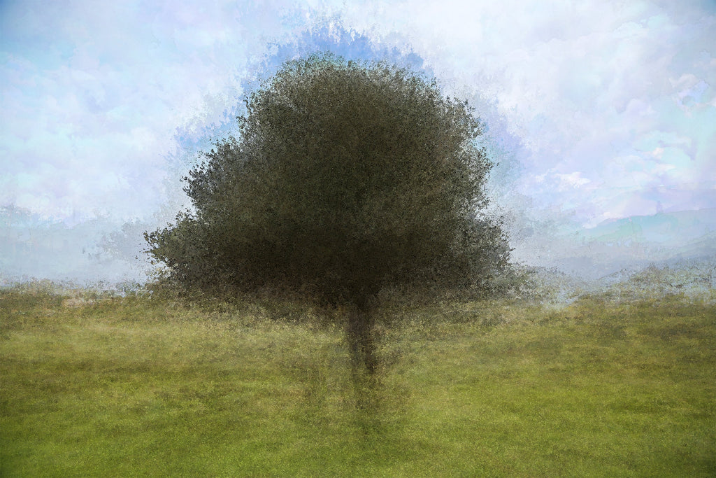 Olive Tree Impressionist Painting at Jerusalem
