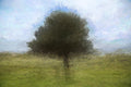 Olive Tree Impressionist Painting at Jerusalem