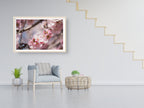 Israeli Holy Land Pink Blooming Almond Tree — Bees Collecting Pollen — Flowers