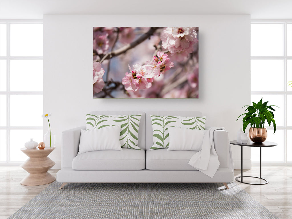 Israeli Holy Land Pink Blooming Almond Tree — Bees Collecting Pollen — Flowers