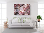 Israeli Holy Land Pink Blooming Almond Tree — Bees Collecting Pollen — Flowers