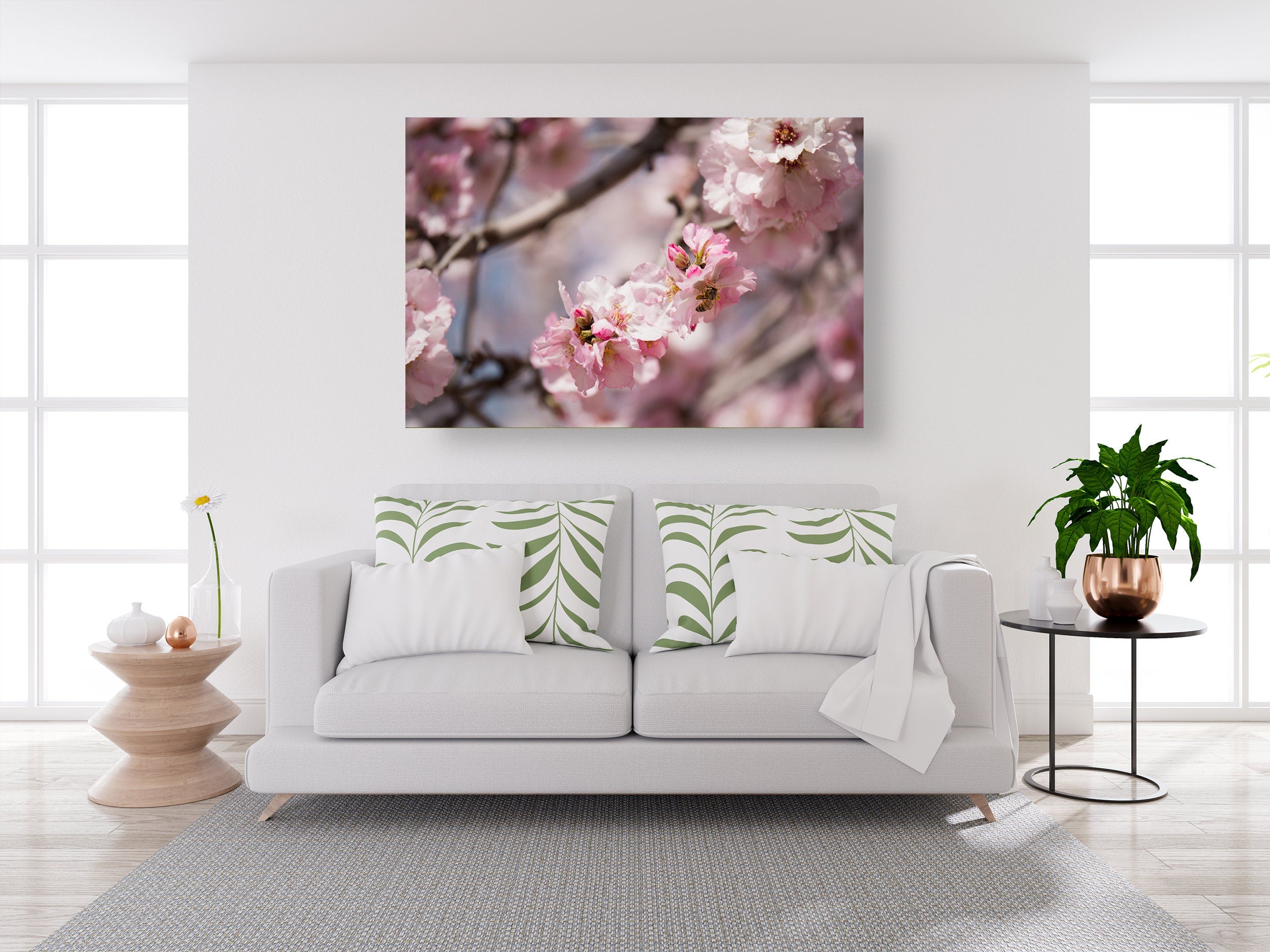 Israeli Holy Land Pink Blooming Almond Tree — Bees Collecting Pollen — Flowers