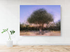 Israeli Olive Tree at Sunset Impressionist Painting