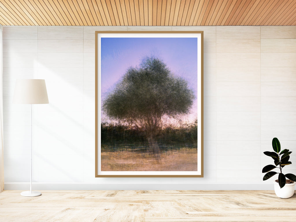 Israeli Olive Tree at Pink Sunset Impressionist Painting