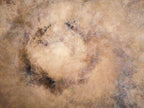 Wood Brown Beige Abstract Jewish Impressionist Painting — Holy Land Artwork