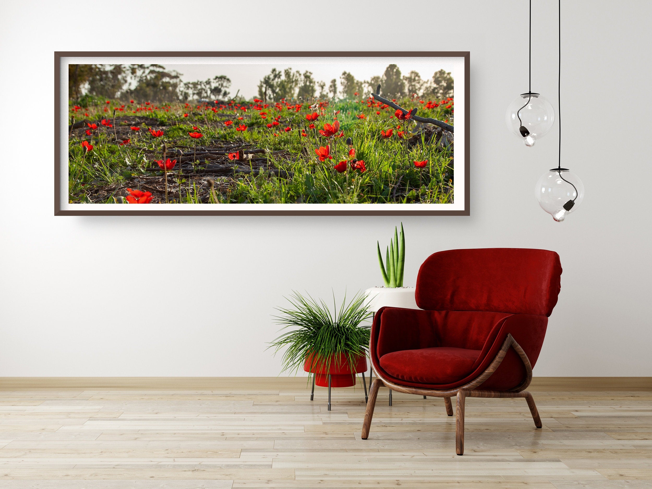 Panoramic Red Wild Flowers Field — Holy Land Israeli Landscape