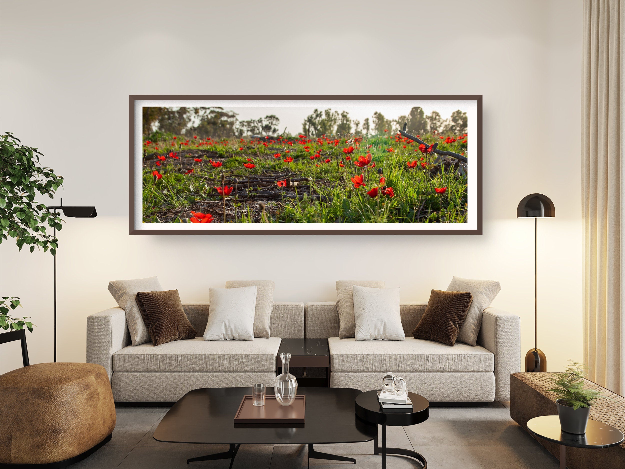 Panoramic Red Wild Flowers Field — Holy Land Israeli Landscape