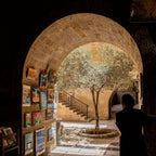 Jerusalem Old City Pedestrian Street with Olive Tree and Orthodox Men in the Jewish Quarter