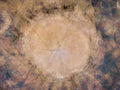 Brown Beige Abstract Tree Trunk Wood Painting