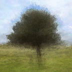 Olive Tree Impressionist Painting at Jerusalem