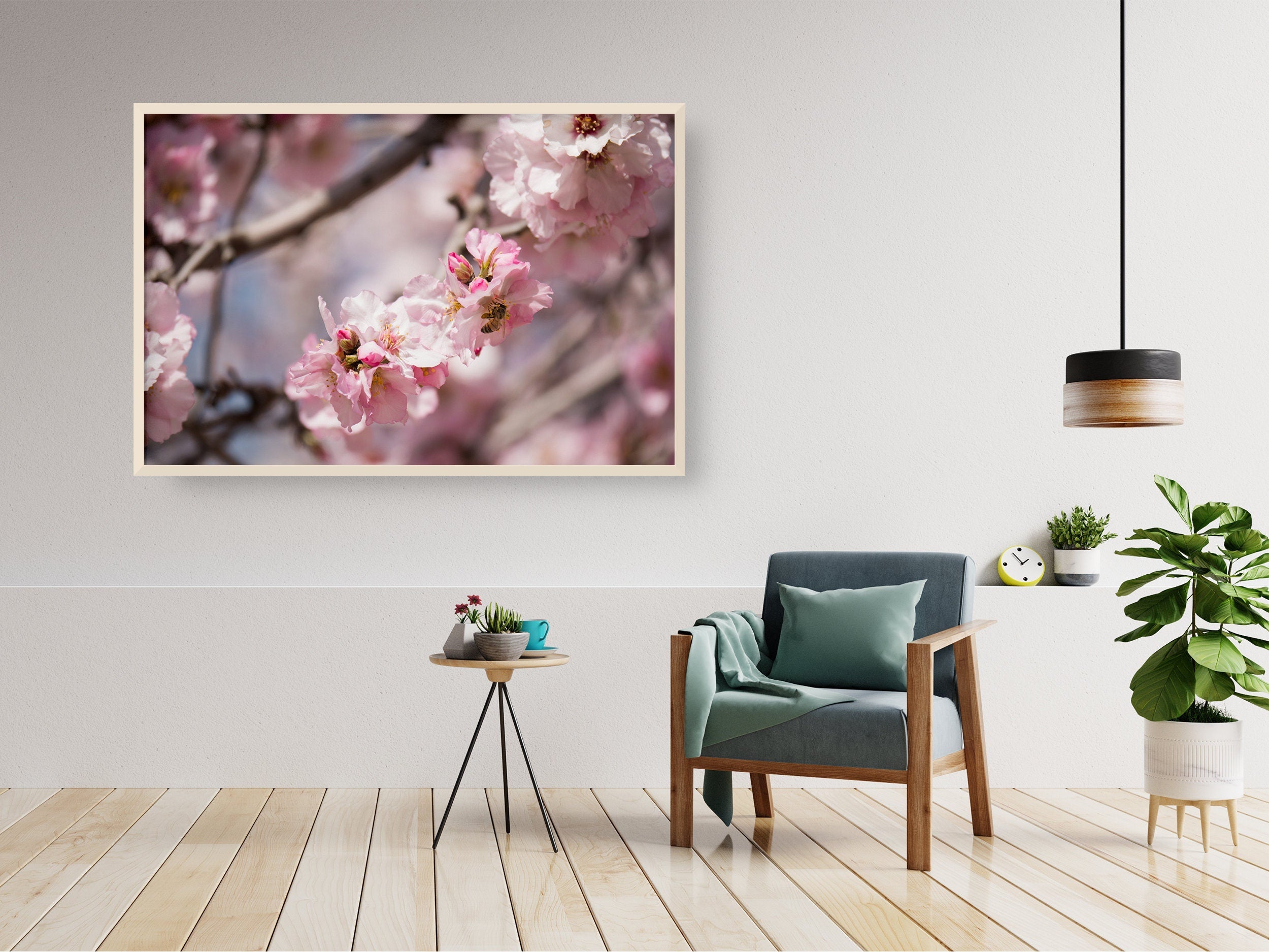 Israeli Holy Land Pink Blooming Almond Tree — Bees Collecting Pollen — Flowers