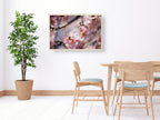 Israeli Holy Land Pink Blooming Almond Tree — Bees Collecting Pollen — Flowers