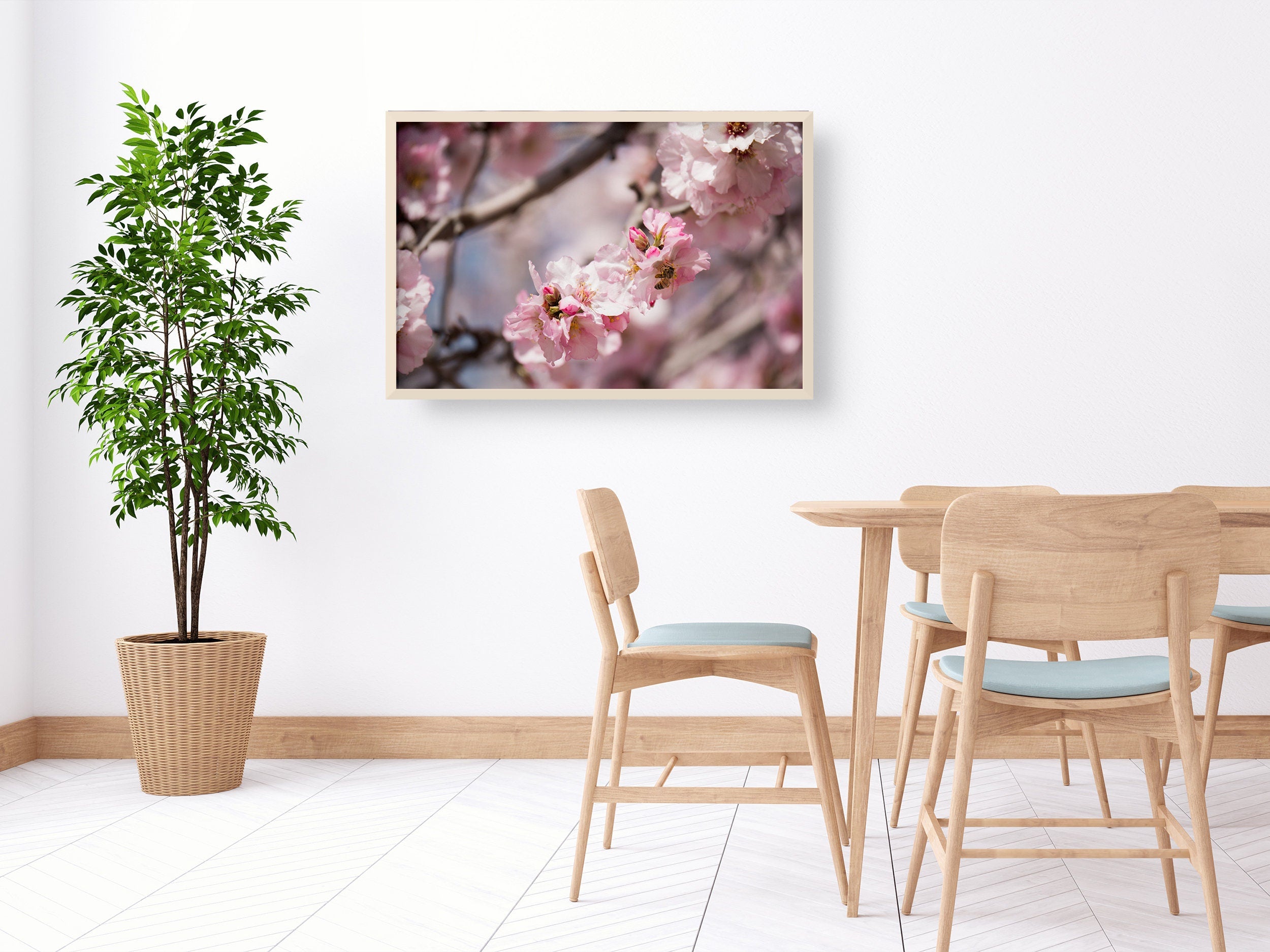 Israeli Holy Land Pink Blooming Almond Tree — Bees Collecting Pollen — Flowers