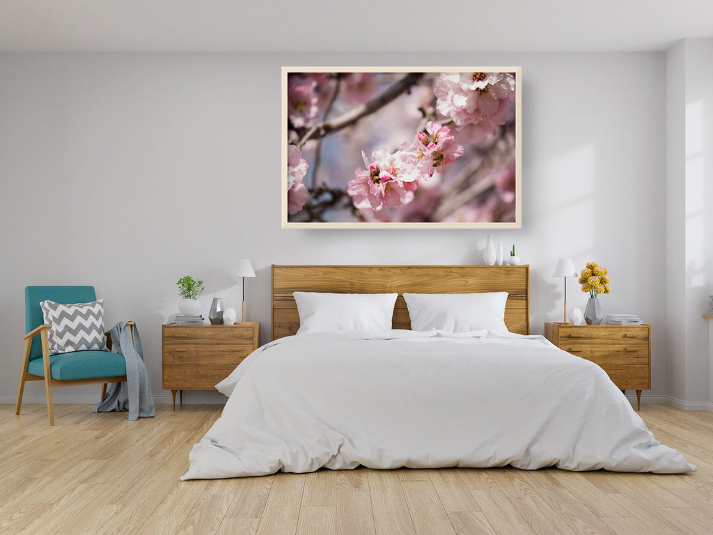 Israeli Holy Land Pink Blooming Almond Tree — Bees Collecting Pollen — Flowers
