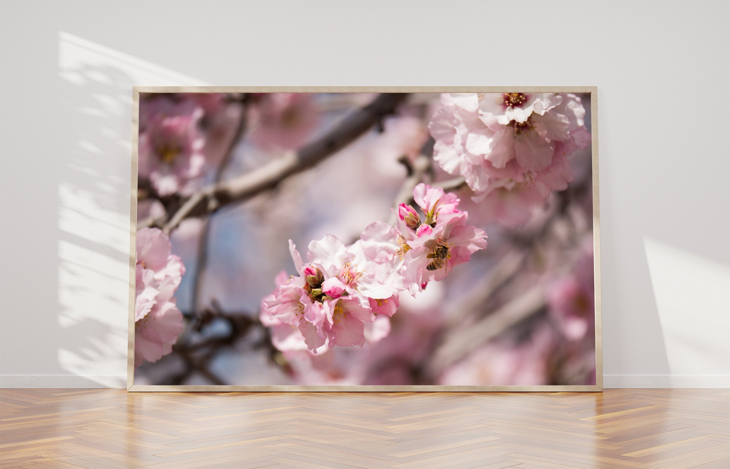 Israeli Holy Land Pink Blooming Almond Tree — Bees Collecting Pollen — Flowers