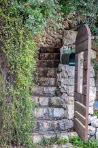Jerusalem Wooden Door with Green Leaves and Stone Staircase