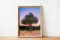 Israeli Olive Tree at Pink Sunset Impressionist Painting