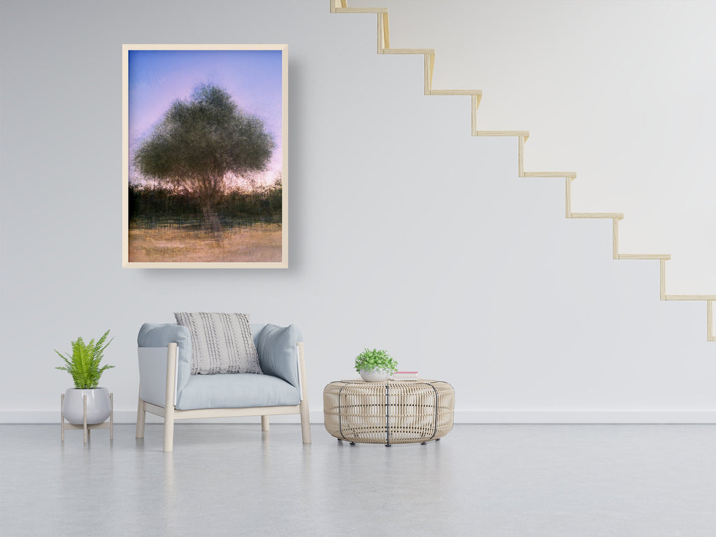 Israeli Olive Tree at Pink Sunset Impressionist Painting