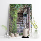 Jerusalem Wooden Door with Green Leaves and Stone Staircase
