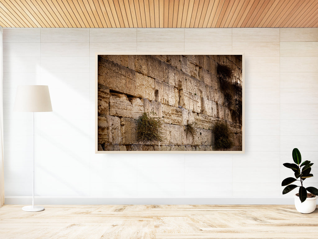 Jerusalem Gold Kotel Wall Art by Night — Vegetation on the Western Wall with Wet Stones