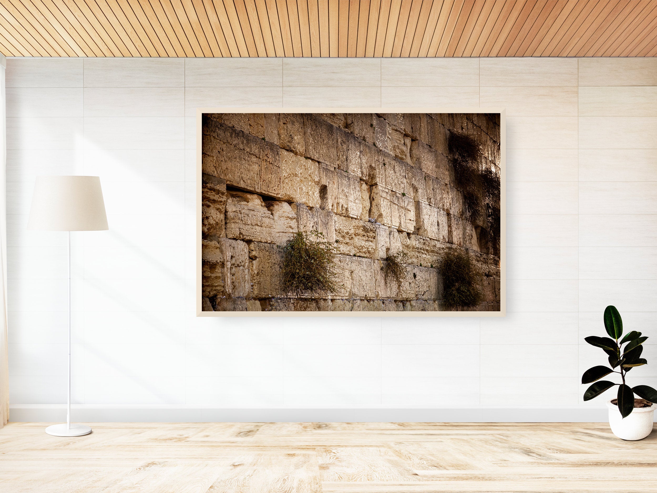 Jerusalem Gold Kotel Wall Art by Night — Vegetation on the Western Wall with Wet Stones