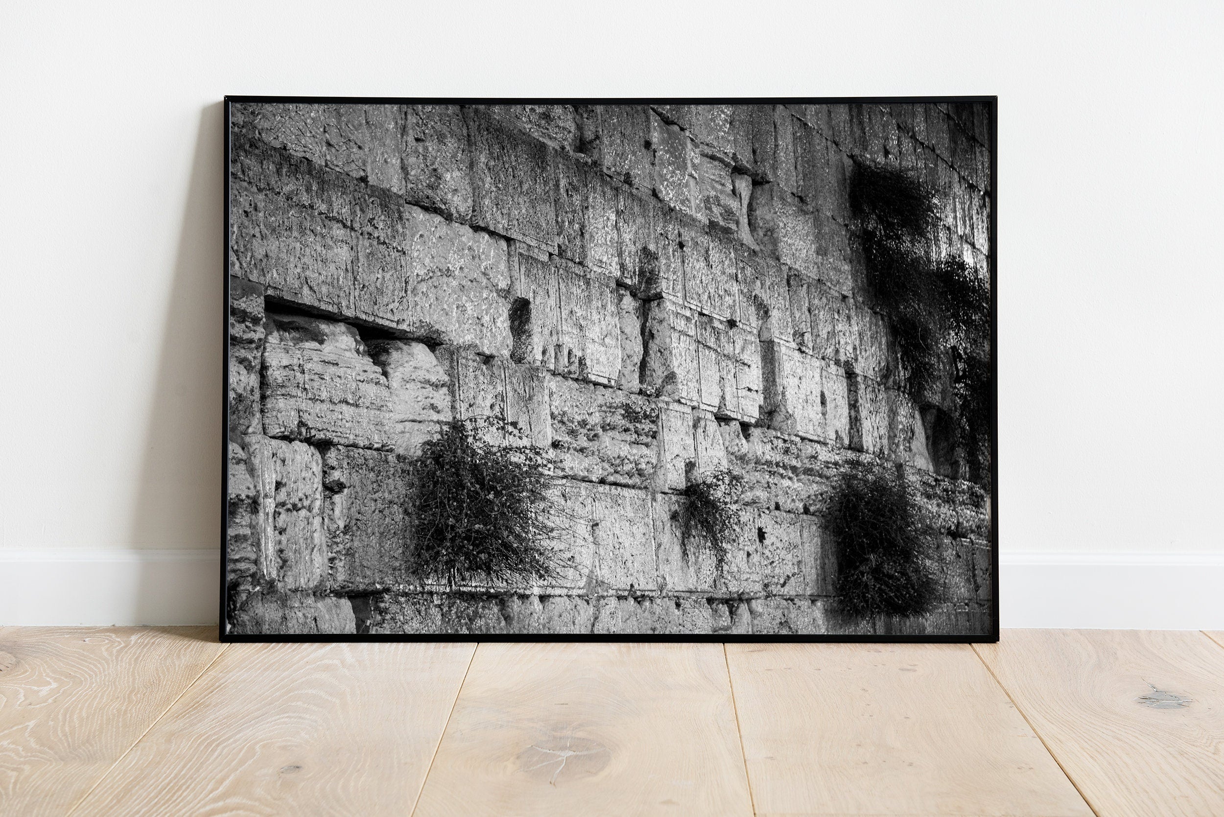Black and White Jerusalem Kotel Wall Art by Night — Vegetation on the Western Wall with Wet Stones