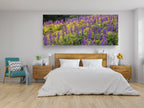 Panoramic Wild Israeli Purple Flowers Landscape — Lupine Turmus Flowering Field Holy Land