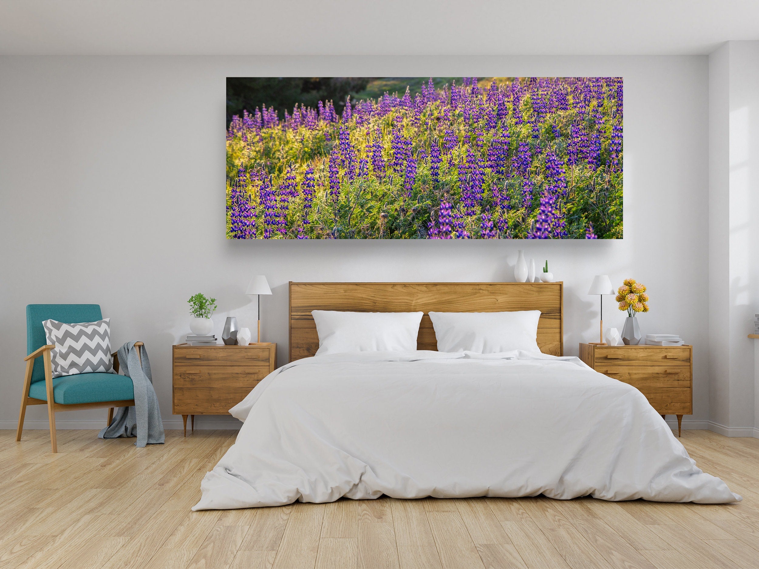 Panoramic Wild Israeli Purple Flowers Landscape — Lupine Turmus Flowering Field Holy Land