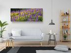 Panoramic Wild Israeli Purple Flowers Landscape — Lupine Turmus Flowering Field Holy Land