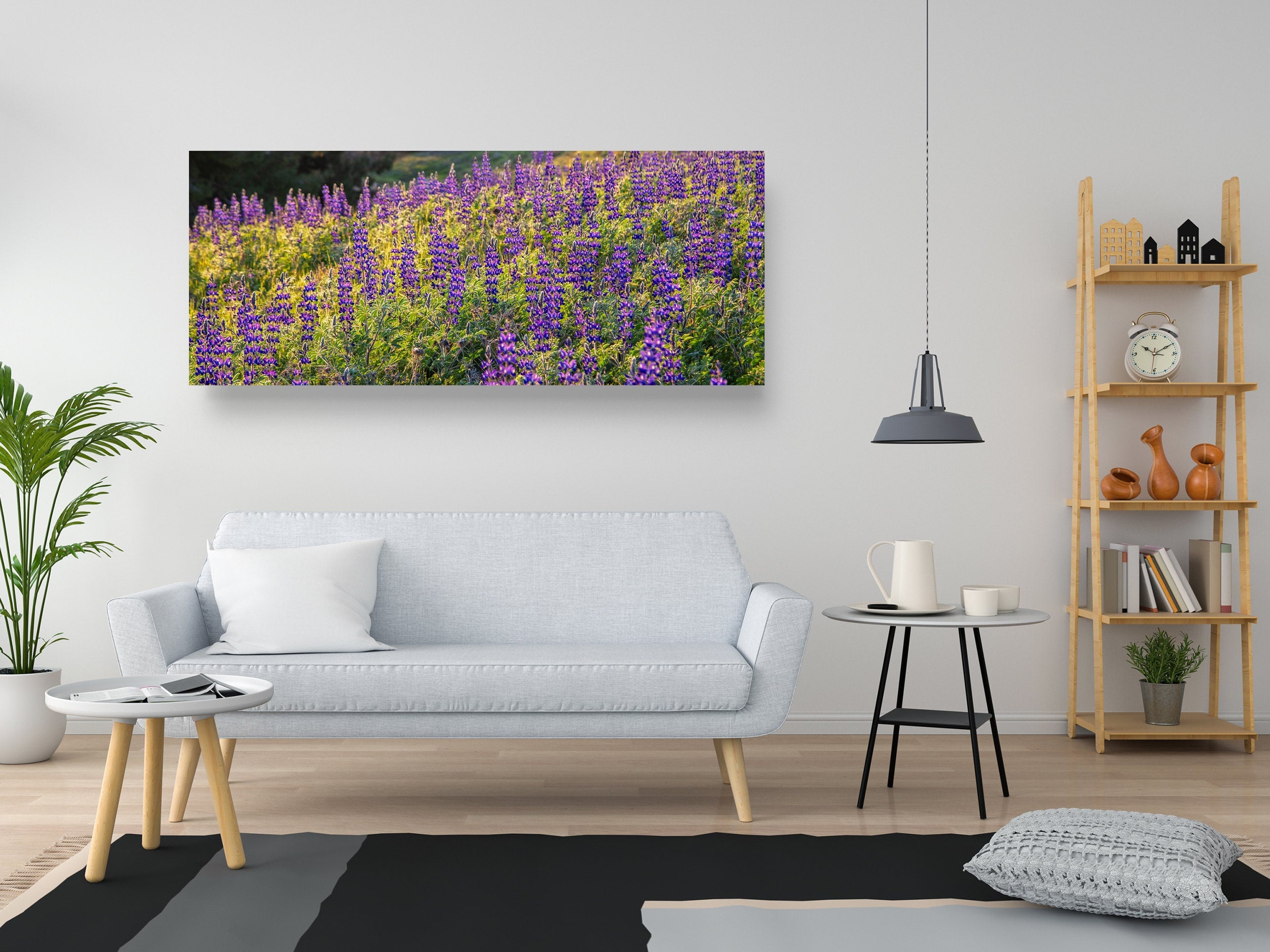 Panoramic Wild Israeli Purple Flowers Landscape — Lupine Turmus Flowering Field Holy Land