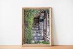 Jerusalem Wooden Door with Green Leaves and Stone Staircase