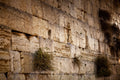Jerusalem Gold Kotel Wall Art by Night — Vegetation on the Western Wall with Wet Stones