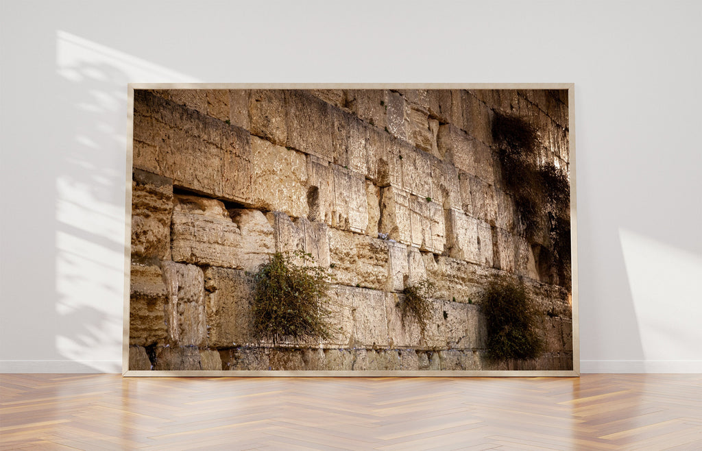 Jerusalem Gold Kotel Wall Art by Night — Vegetation on the Western Wall with Wet Stones