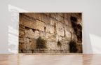 Jerusalem Gold Kotel Wall Art by Night — Vegetation on the Western Wall with Wet Stones