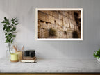 Jerusalem Gold Kotel Wall Art by Night — Vegetation on the Western Wall with Wet Stones